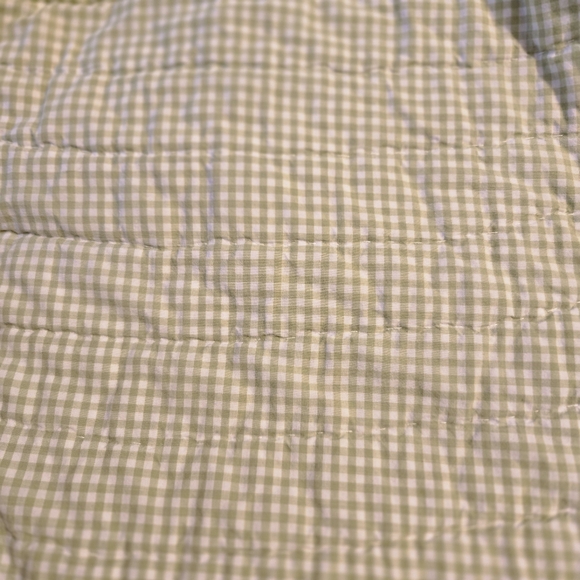 Pottery Barn Kids Eric Carle The Very Hungry Caterpillar Butterfly Gingham Quilt - Picture 4 of 16